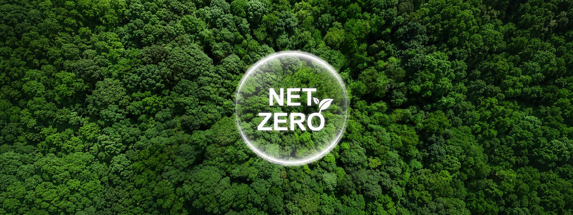 Climate Action and Net Zero Commitment 