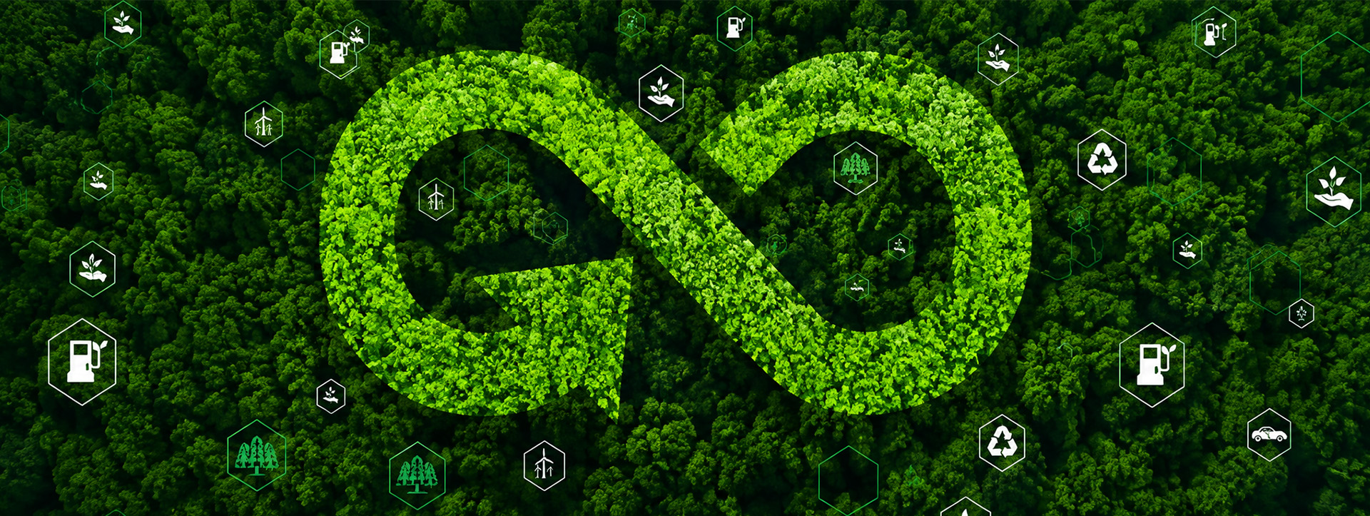 Circular Economy