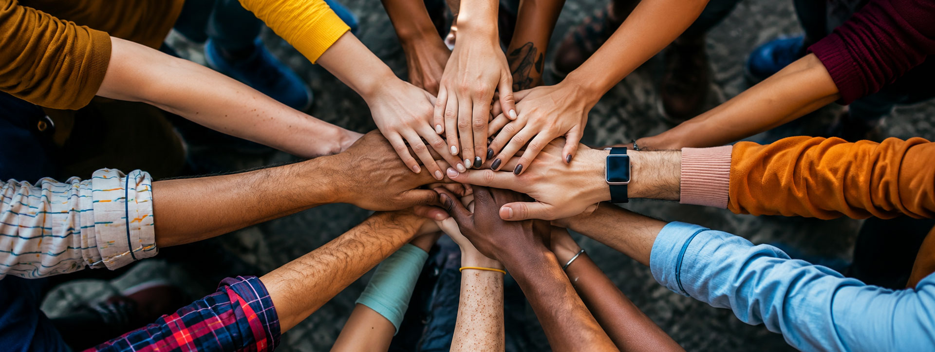 Climate Action and Net Zero Commitment 